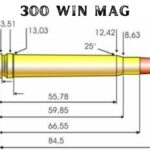 300 Win Mag Avis