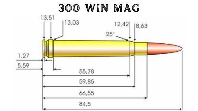 300 Win Mag Avis